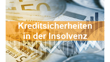 Seminar Insolvenzrecht Kreditsicherheiten